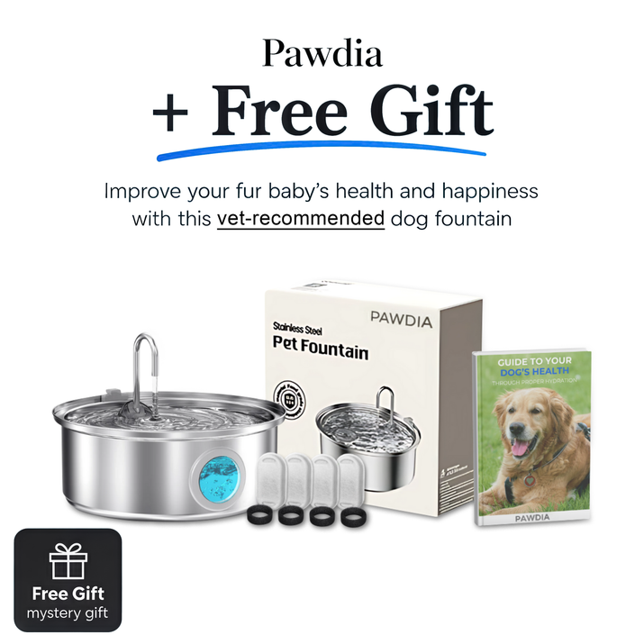 Pawdia™ Fountain Kit