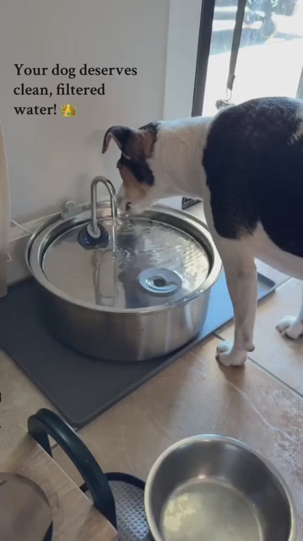 Pawdia™ Fountain Kit video